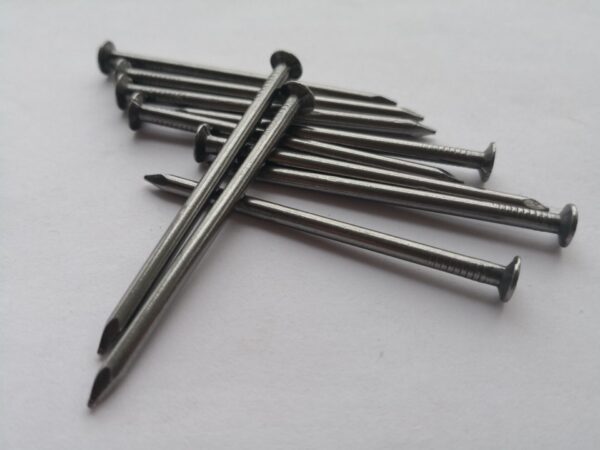 Common Wire Nail